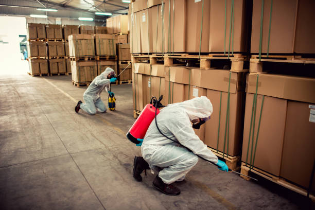 Reliable Sun Valley, ID Pest Control Solutions