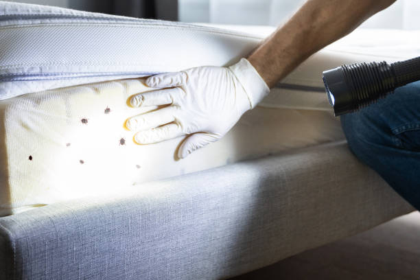 Best Commercial Pest Control Services  in Sun Valley, ID